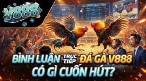 Bình luận trực tiếp đá gà V888 có gì cuốn hút?