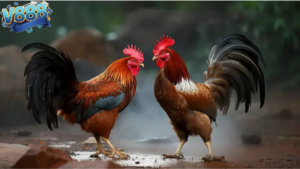 Đá gà online V888 – Xu hướng giải trí mô phỏng mới