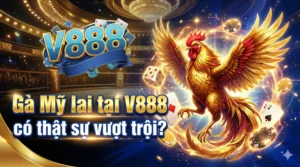 Gà Mỹ lai tại V888 có thật sự vượt trội?