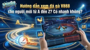 Hướng dẫn xem đá gà V888 cho người mới từ A đến Z