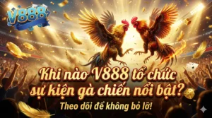 Khi nào V888 tổ chức sự kiện gà chiến nổi bật?