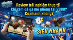 Review trải nghiệm thực tế khi xem đá gà mô phỏng tại V888