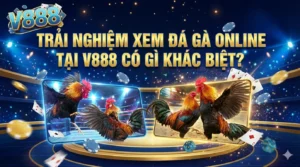 Trải nghiệm xem đá gà online tại V888 có gì khác biệt?