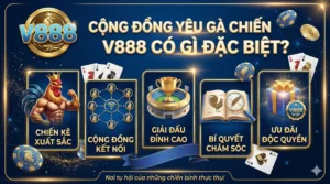 Cộng đồng yêu gà chiến V888 có gì đặc biệt?