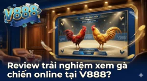 Review trải nghiệm xem gà chiến online tại V888