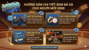 Kinh nghiệm xem đá gà V888 giúp người mới dễ hiểu trận đấu