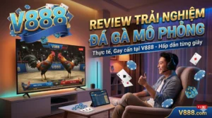 Review trải nghiệm thực tế khi xem đá gà mô phỏng tại V888