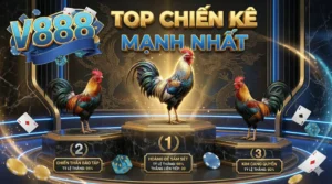 Top chiến kê mạnh nhất V888