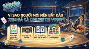 Vì sao người mới nên bắt đầu xem đá gà online tại V888?