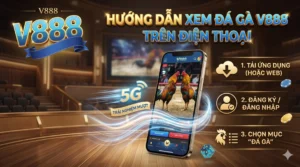Hướng dẫn xem đá gà V888 trên điện thoại cho trải nghiệm mượt