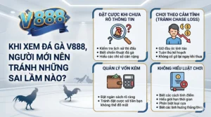 Khi xem đá gà V888, người mới nên tránh những sai lầm nào?