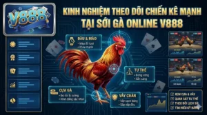 Kinh nghiệm theo dõi chiến kê mạnh tại sới gà online V888