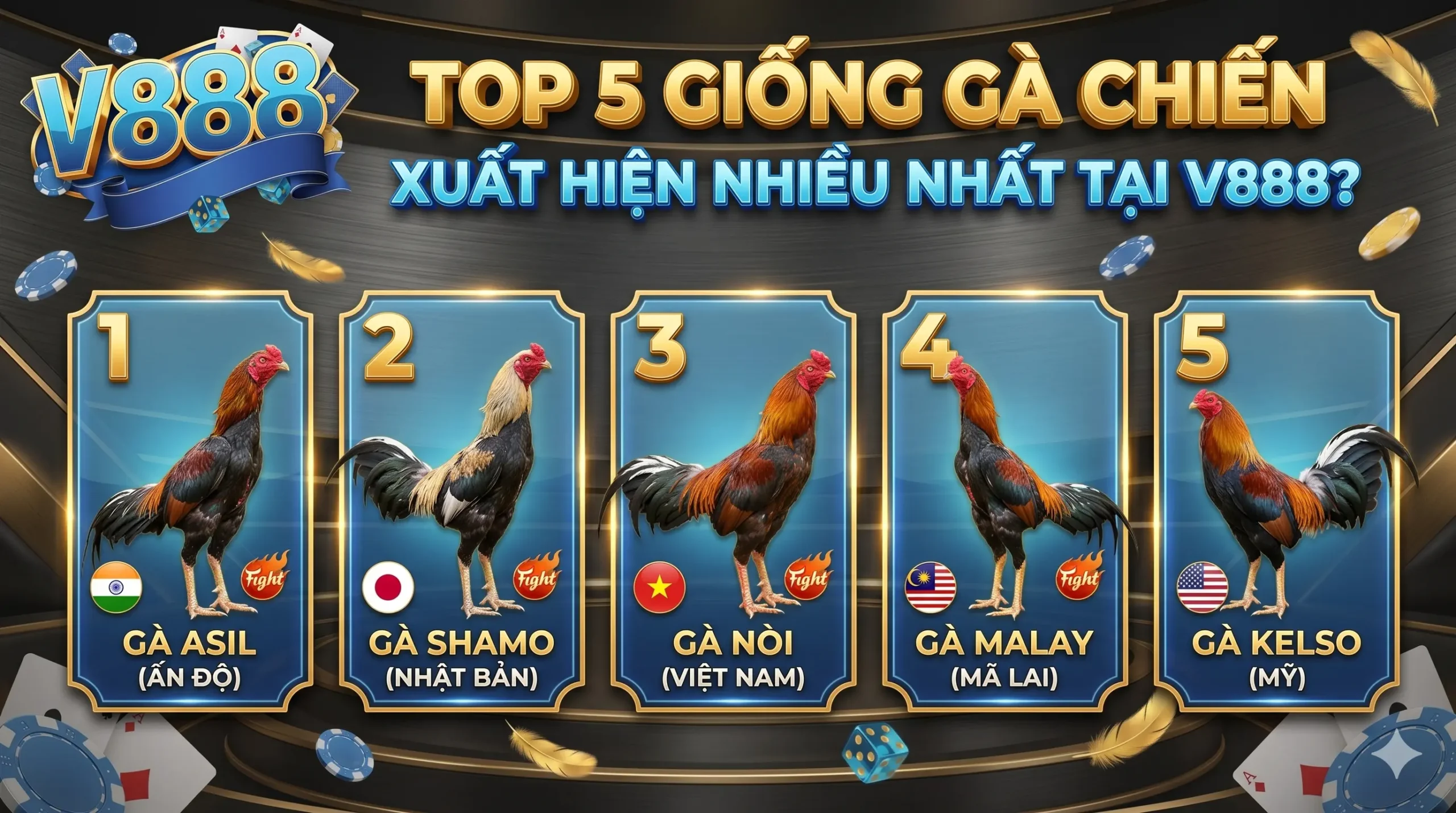 Top 5 giống gà chiến xuất hiện nhiều nhất tại V888