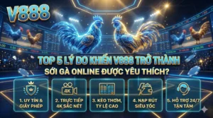 Top 5 lý do khiến V888 trở thành sới gà online được yêu thích