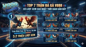 Top 7 trận đá gà V888 có lượt xem cao nhất thời gian gần đây